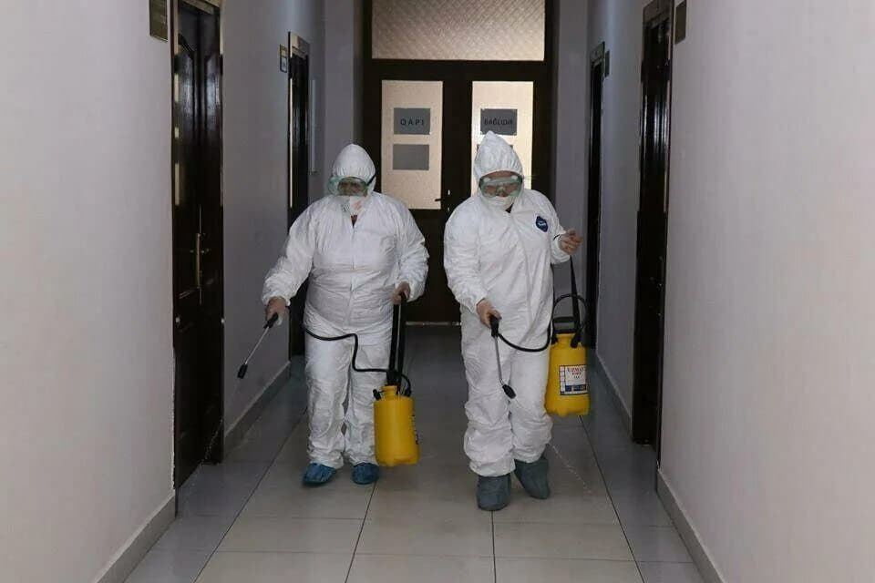 Дезинфекция от скорпионов